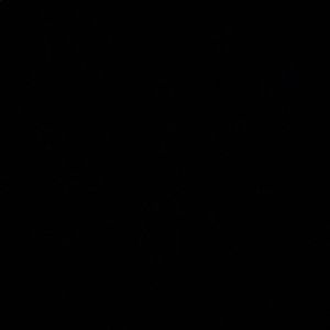 Meet your Posher, Ella